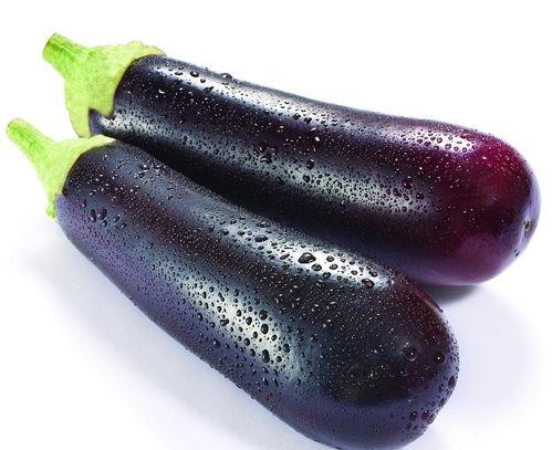 茄子头条号图片大全,探寻美食与生活的完美融合